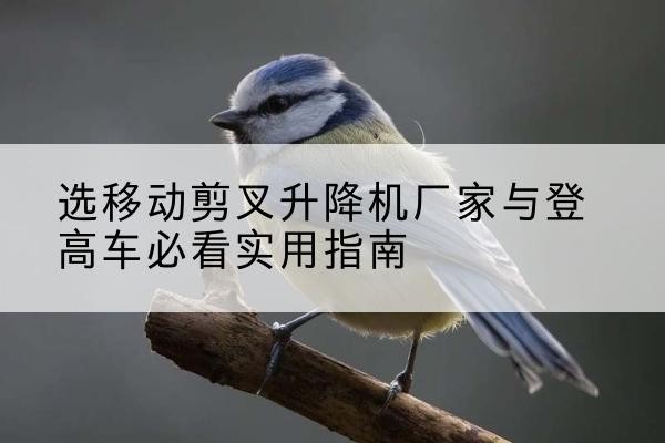 龙里电动升降机厂家-选移动剪叉升降机厂家与登高车必看实用指南
