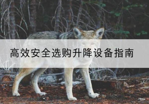 龙里升降货梯厂家推荐-*安全选购升降设备指南
